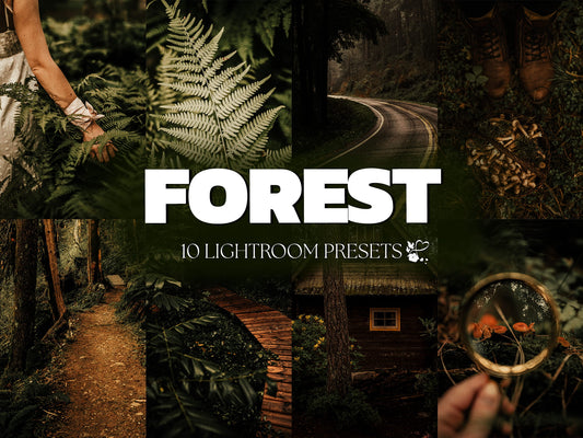 10 Forest LIGHTROOM Presets Mobile & Desktop
