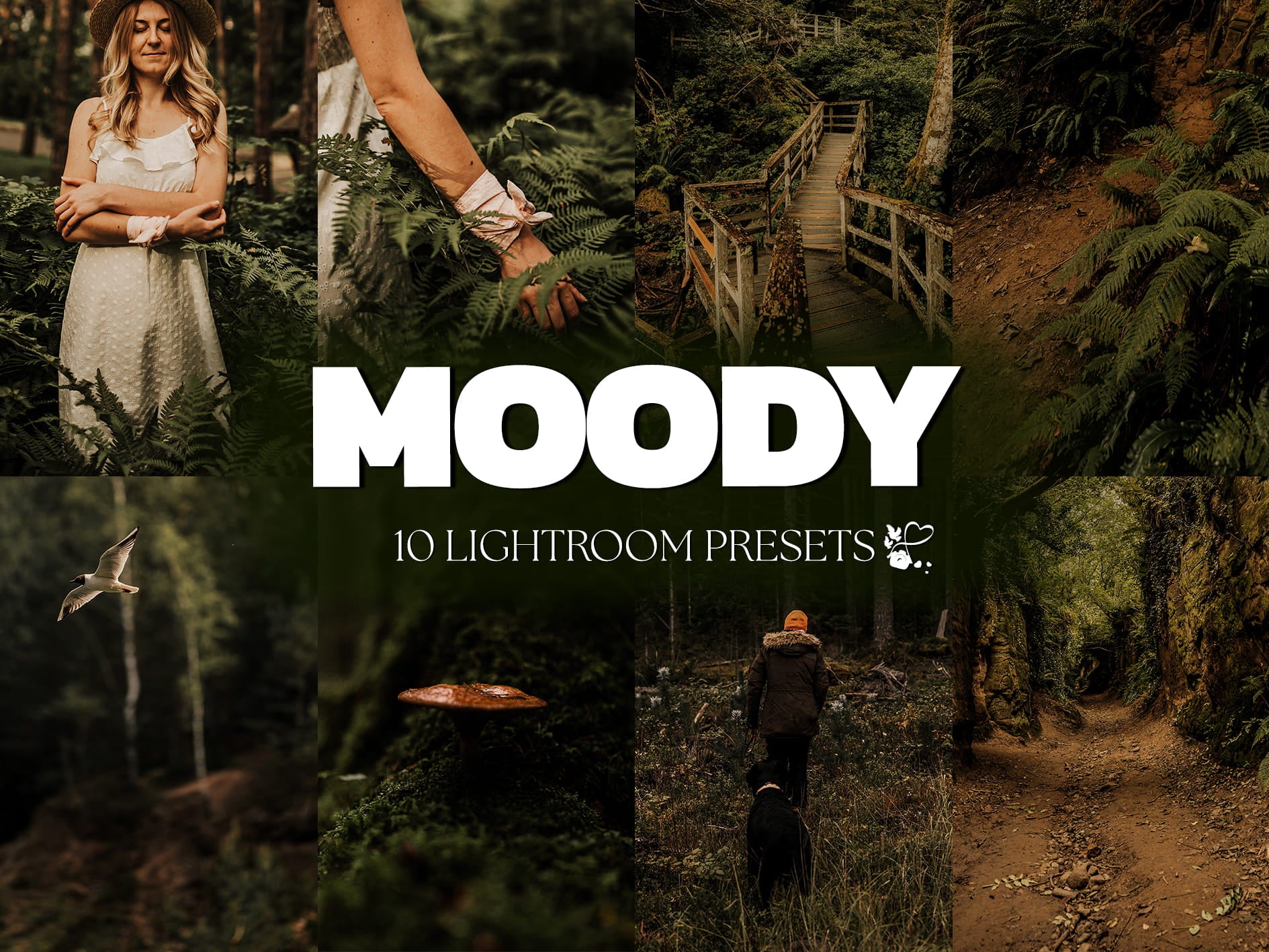10 Moody LIGHTROOM Presets Mobile & Desktop