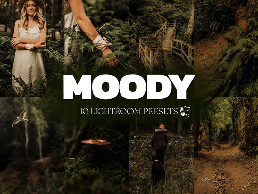 10 Moody LIGHTROOM Presets Mobile & Desktop