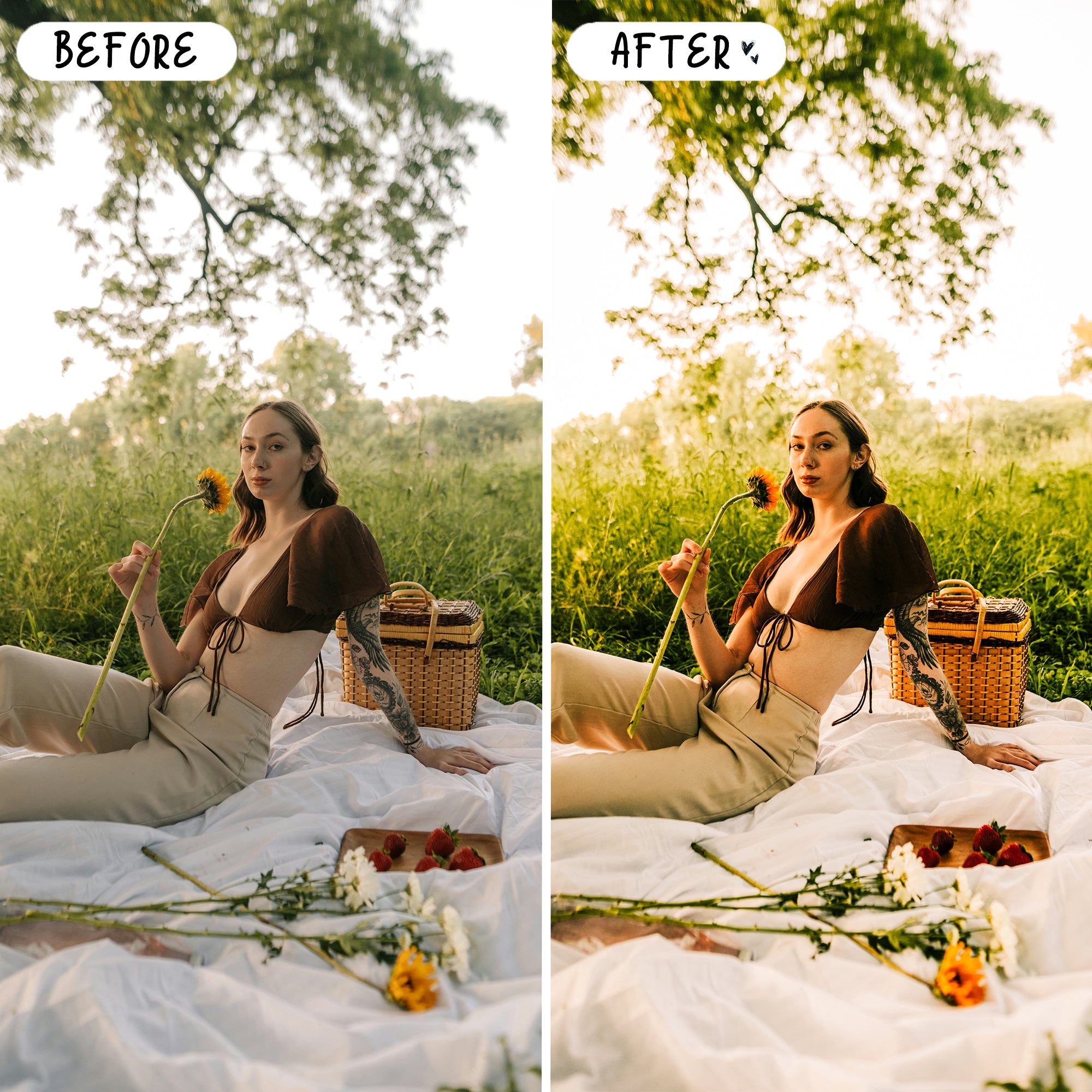 Spring Preset Bundle