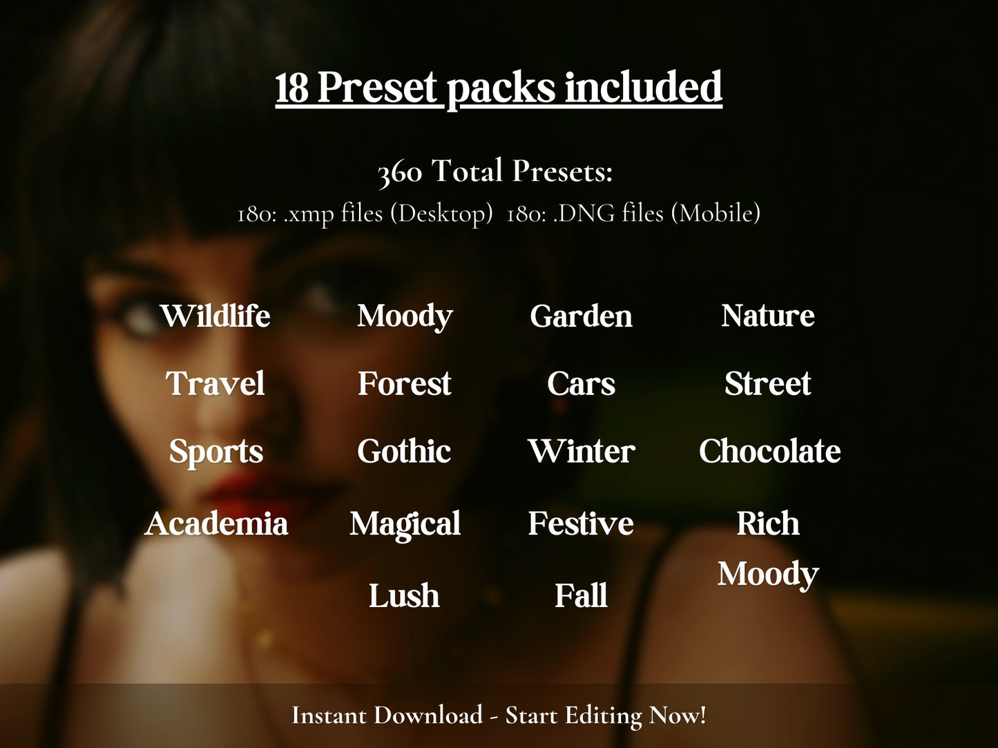 350+ ESSENTIAL Lightroom Preset BUNDLE