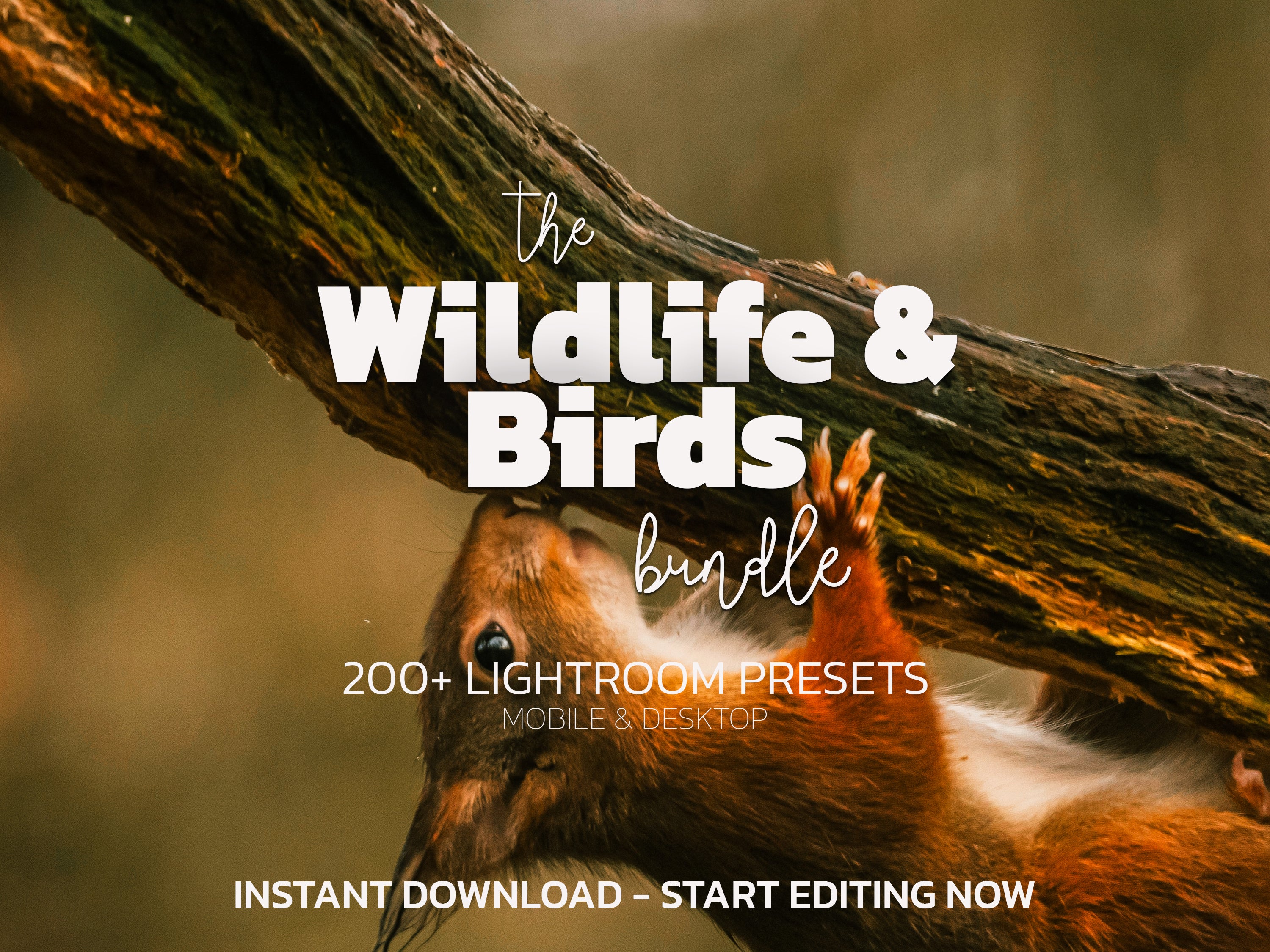 Wildlife & Birds Preset Bundle