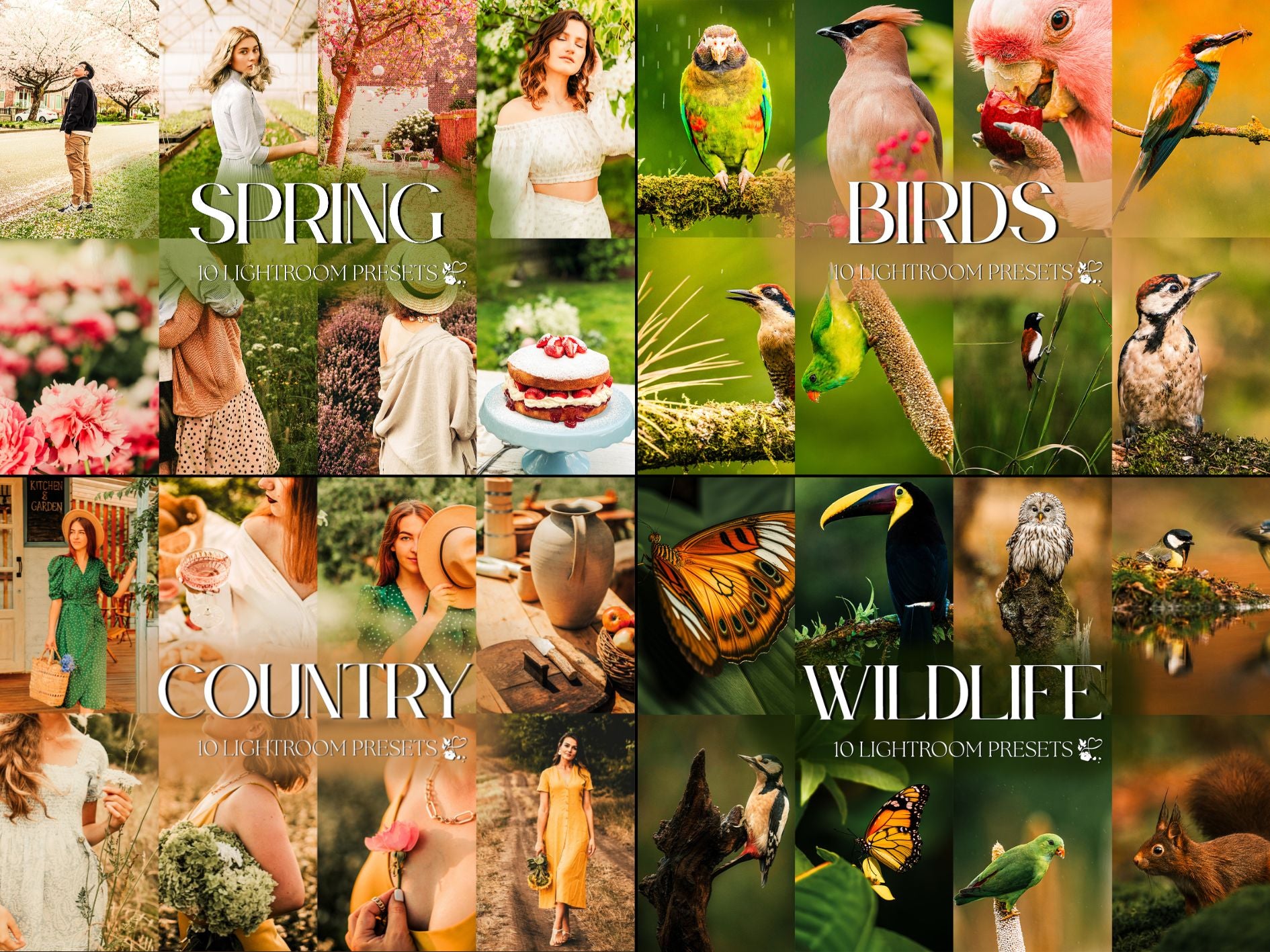 Spring Preset Bundle