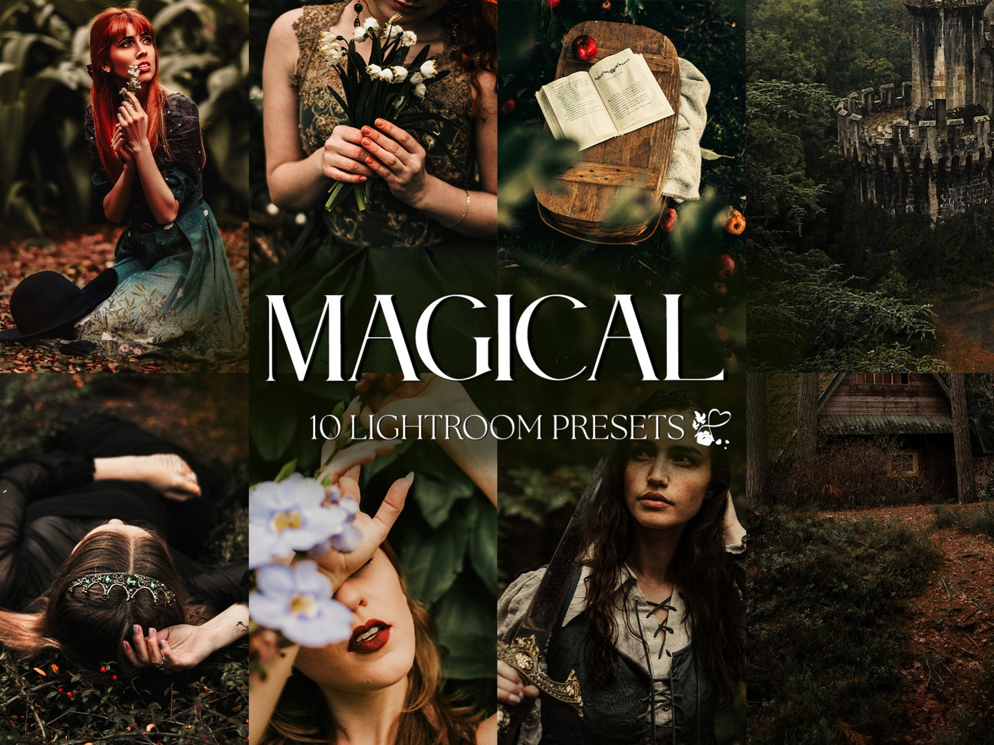 350+ ACADEMIA-Inspired Lightroom Preset BUNDLE