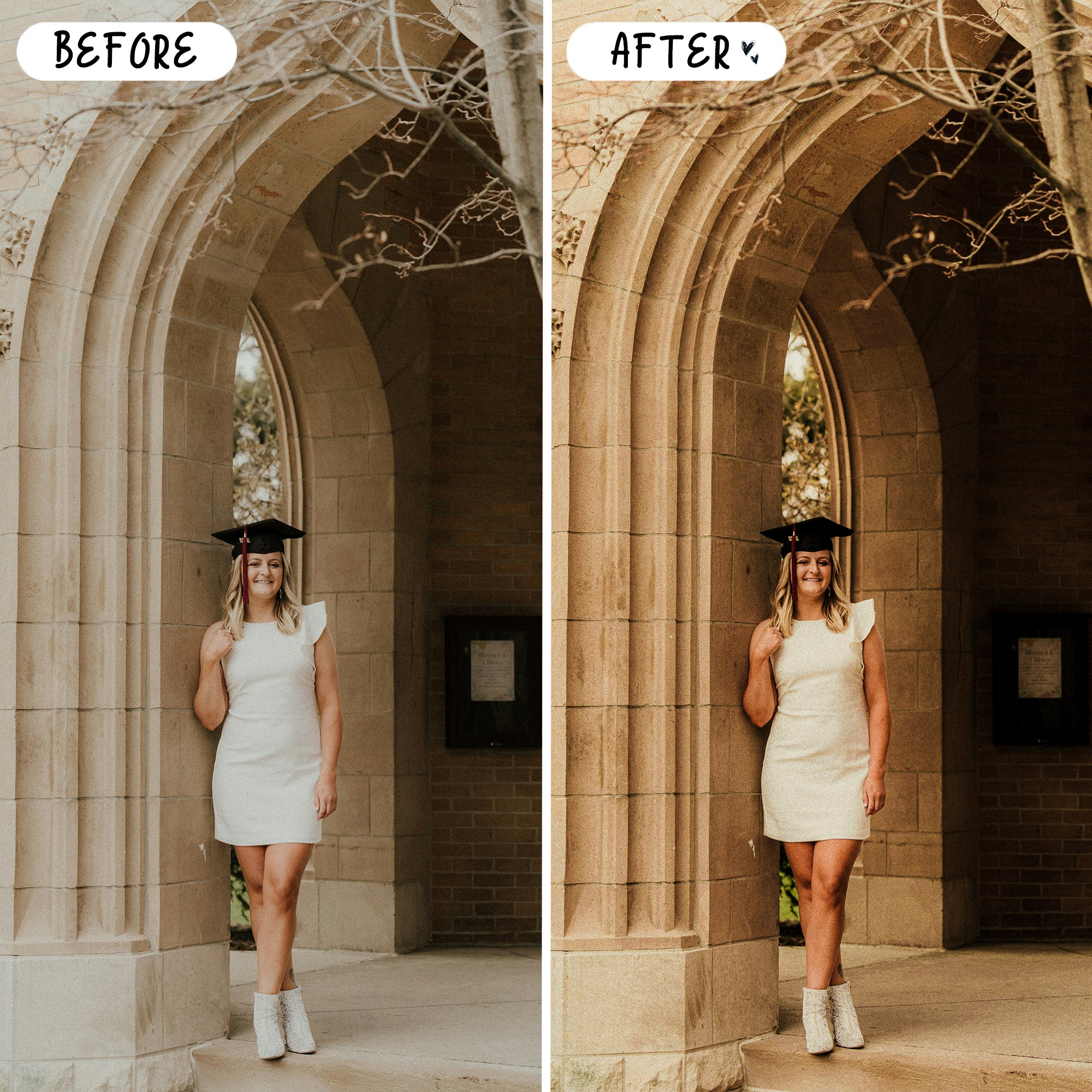 Portrait Preset Bundle