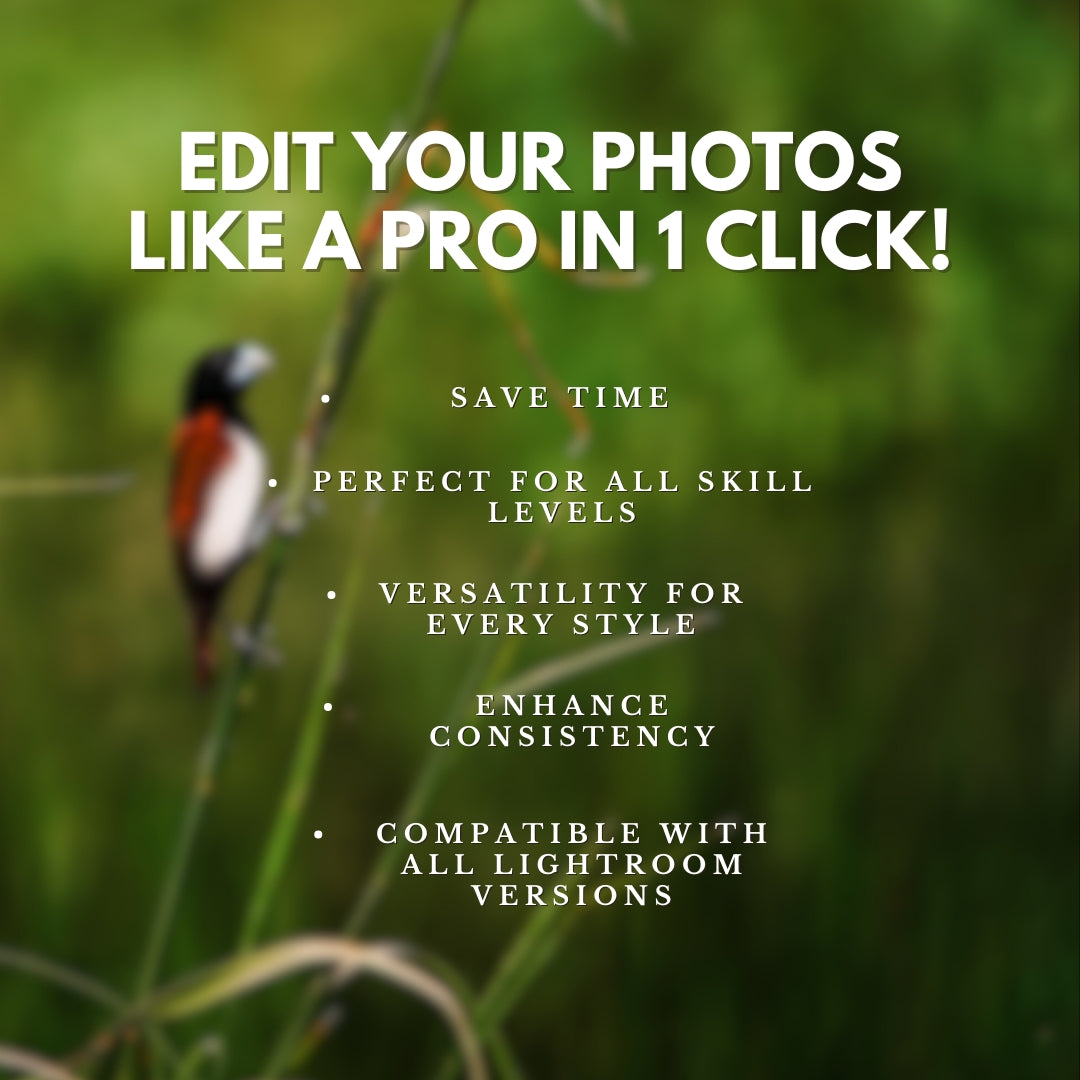 10 Birds LIGHTROOM Presets Mobile & Desktop
