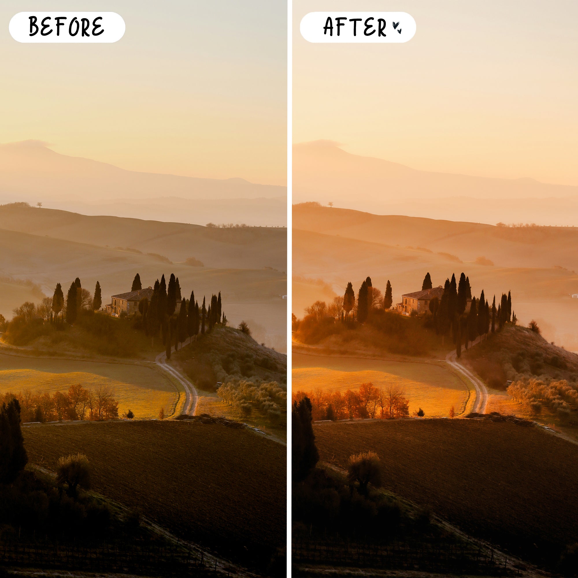 Golden Hour Preset Bundle