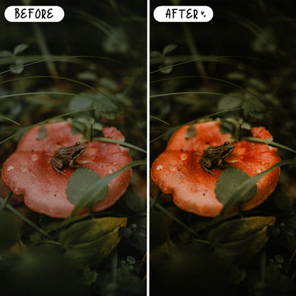 10 Fairytale LIGHTROOM Presets Mobile & Desktop