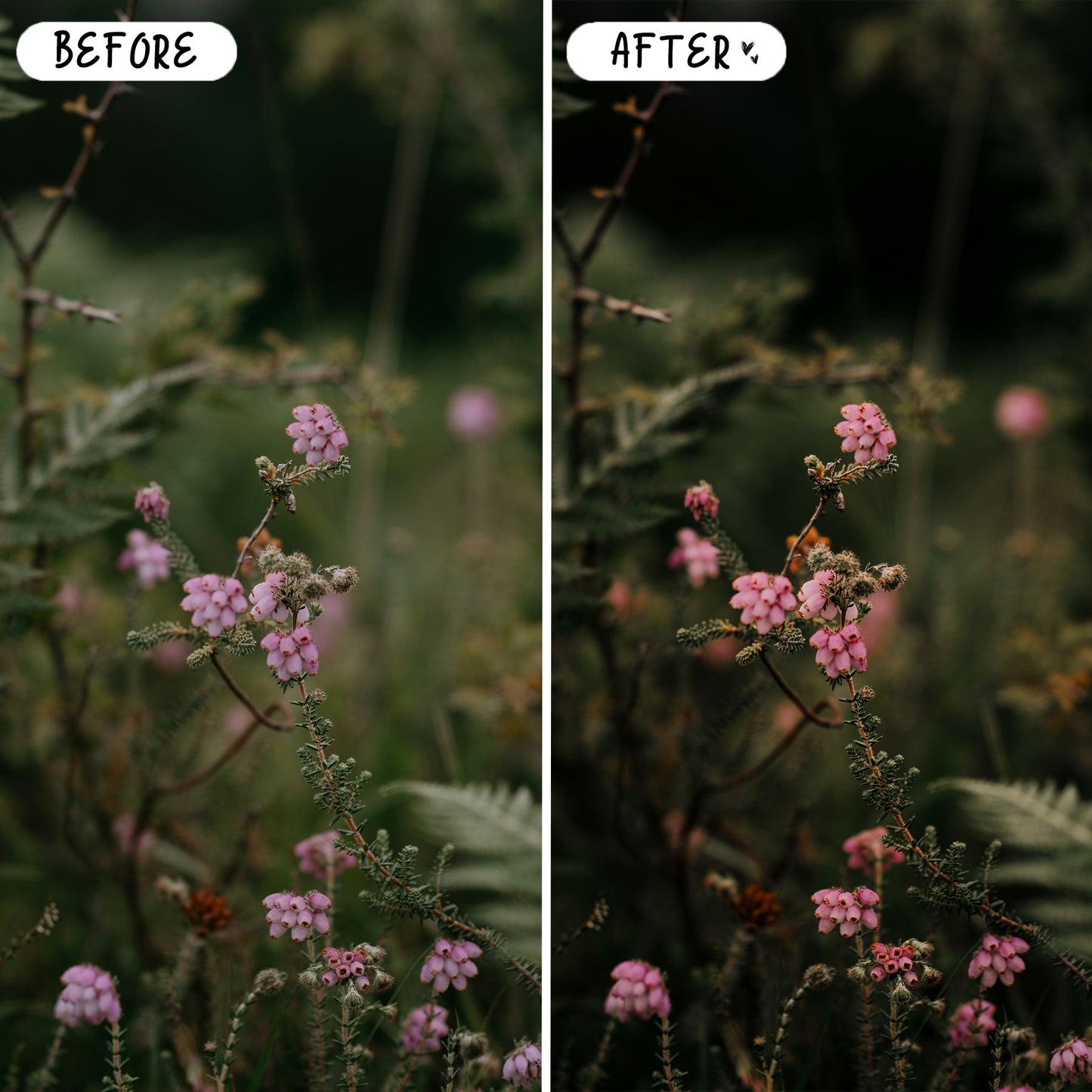 10 Fairytale LIGHTROOM Presets Mobile & Desktop
