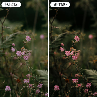 10 Fairytale LIGHTROOM Presets Mobile & Desktop