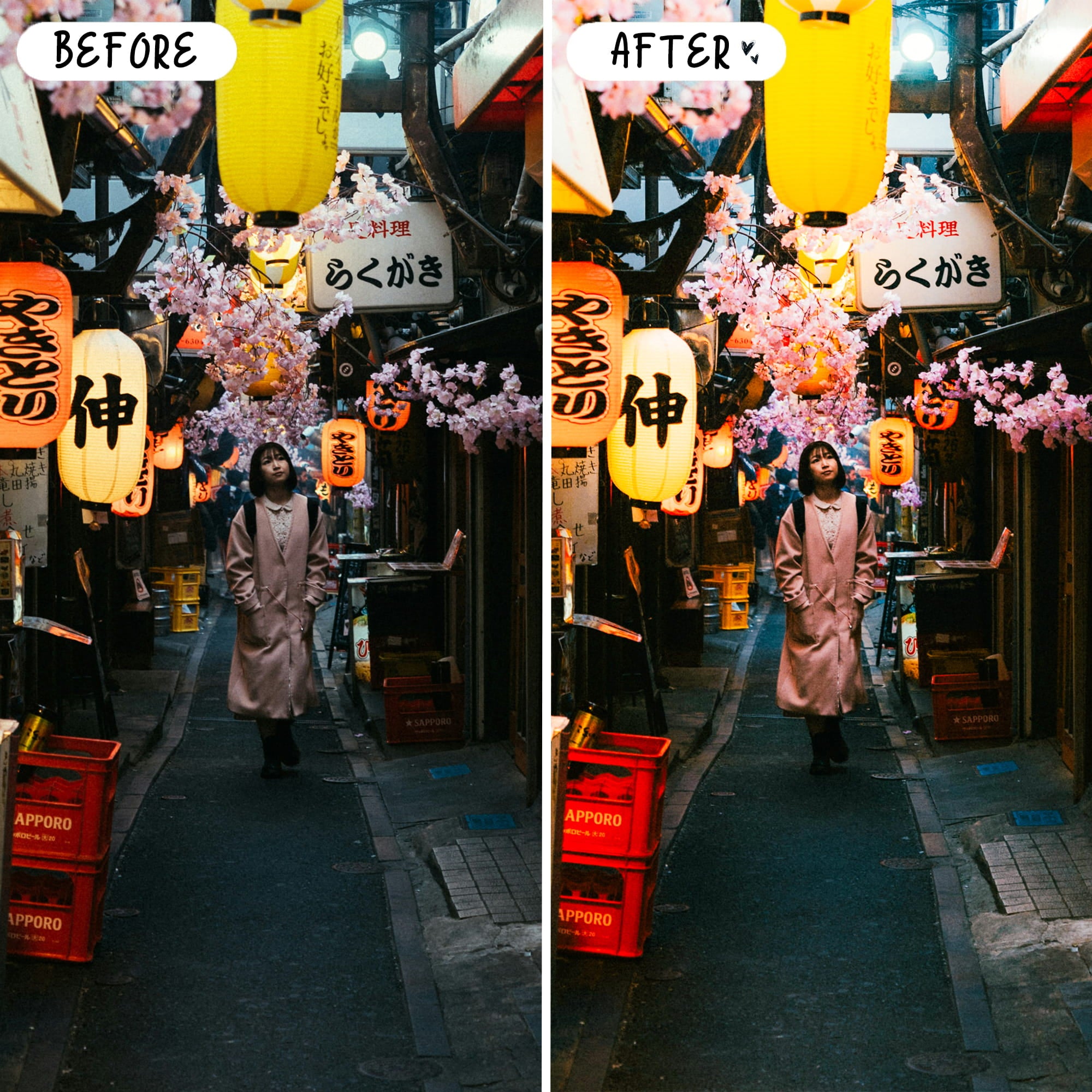 Japan Preset Bundle
