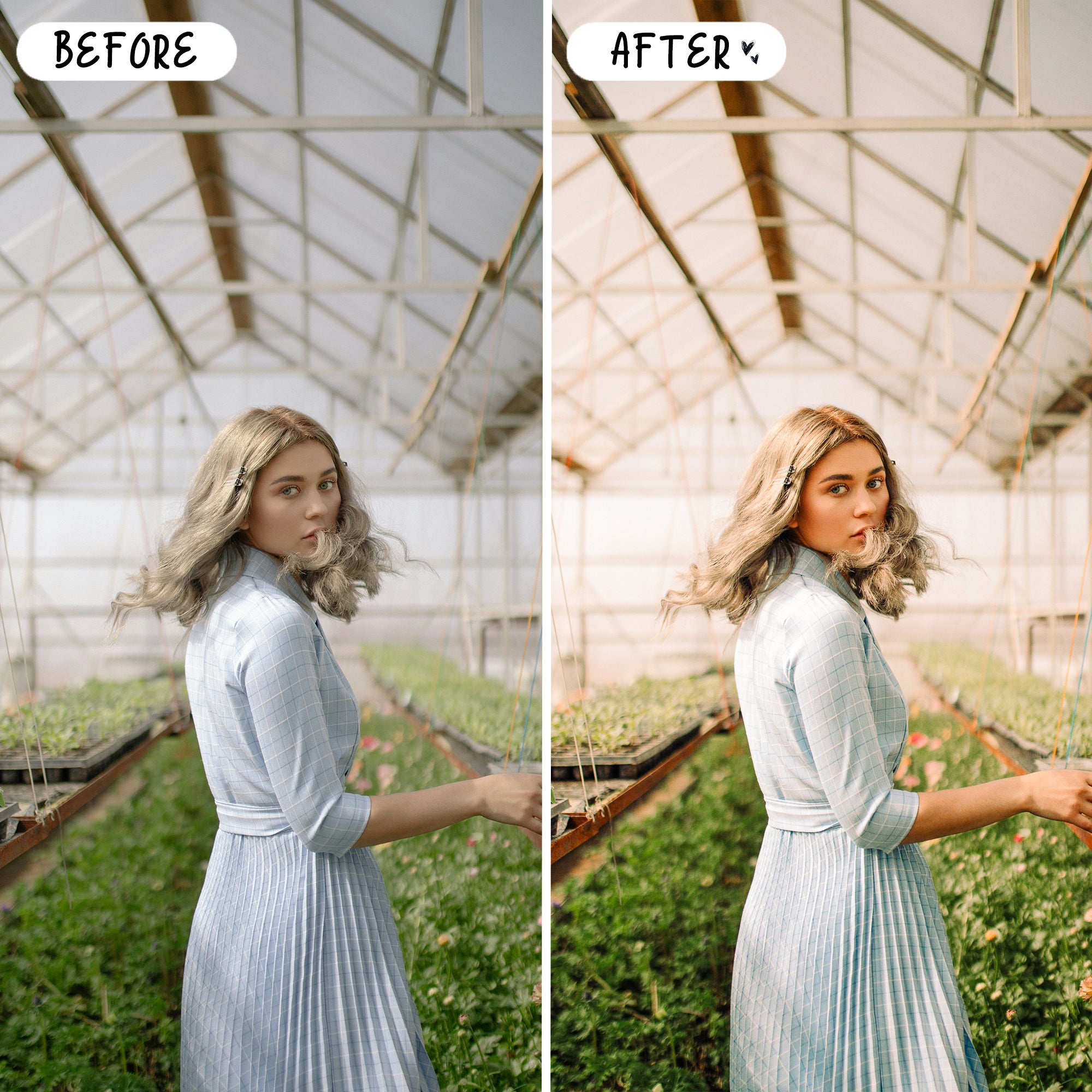 Spring Preset Bundle