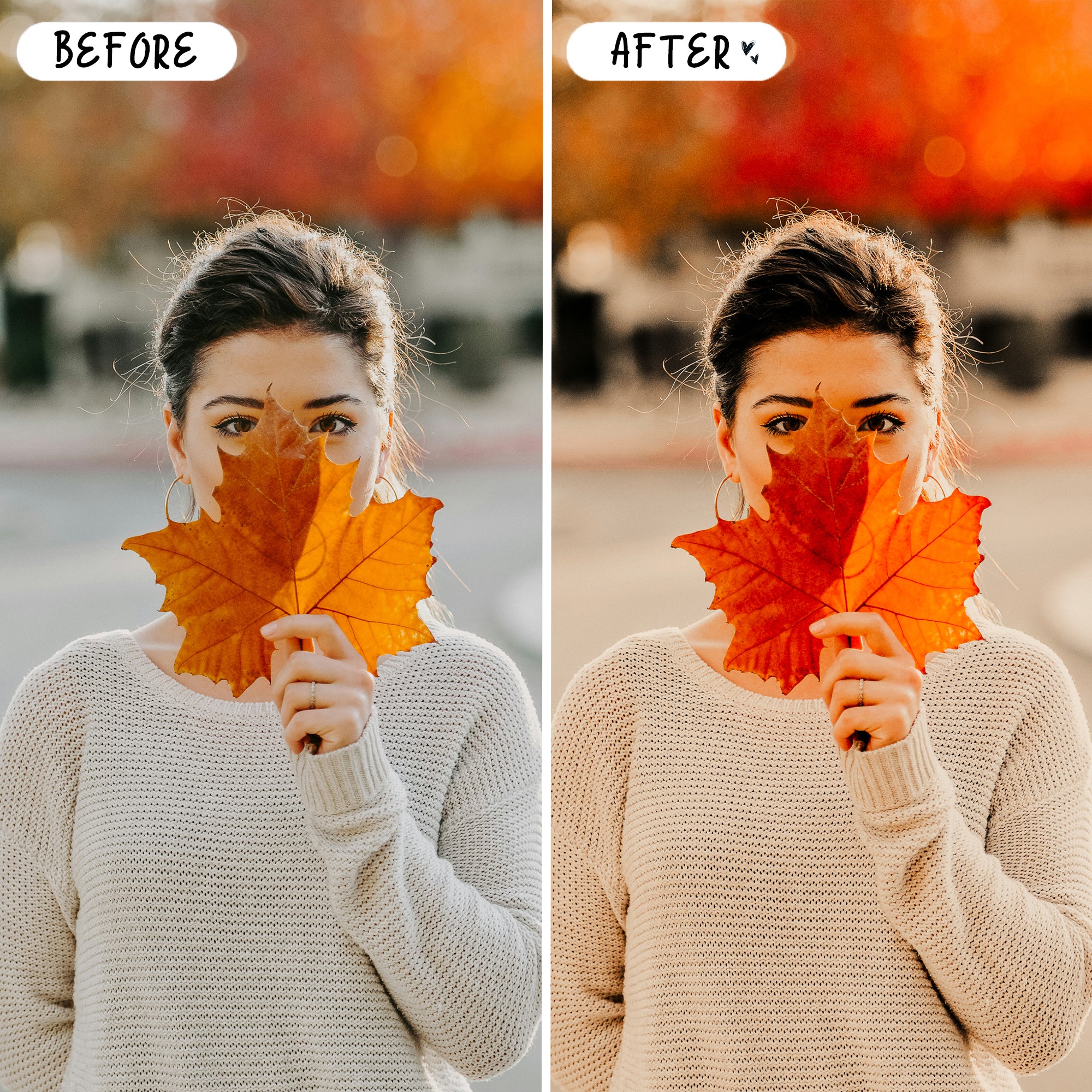Autumn Preset Bundle