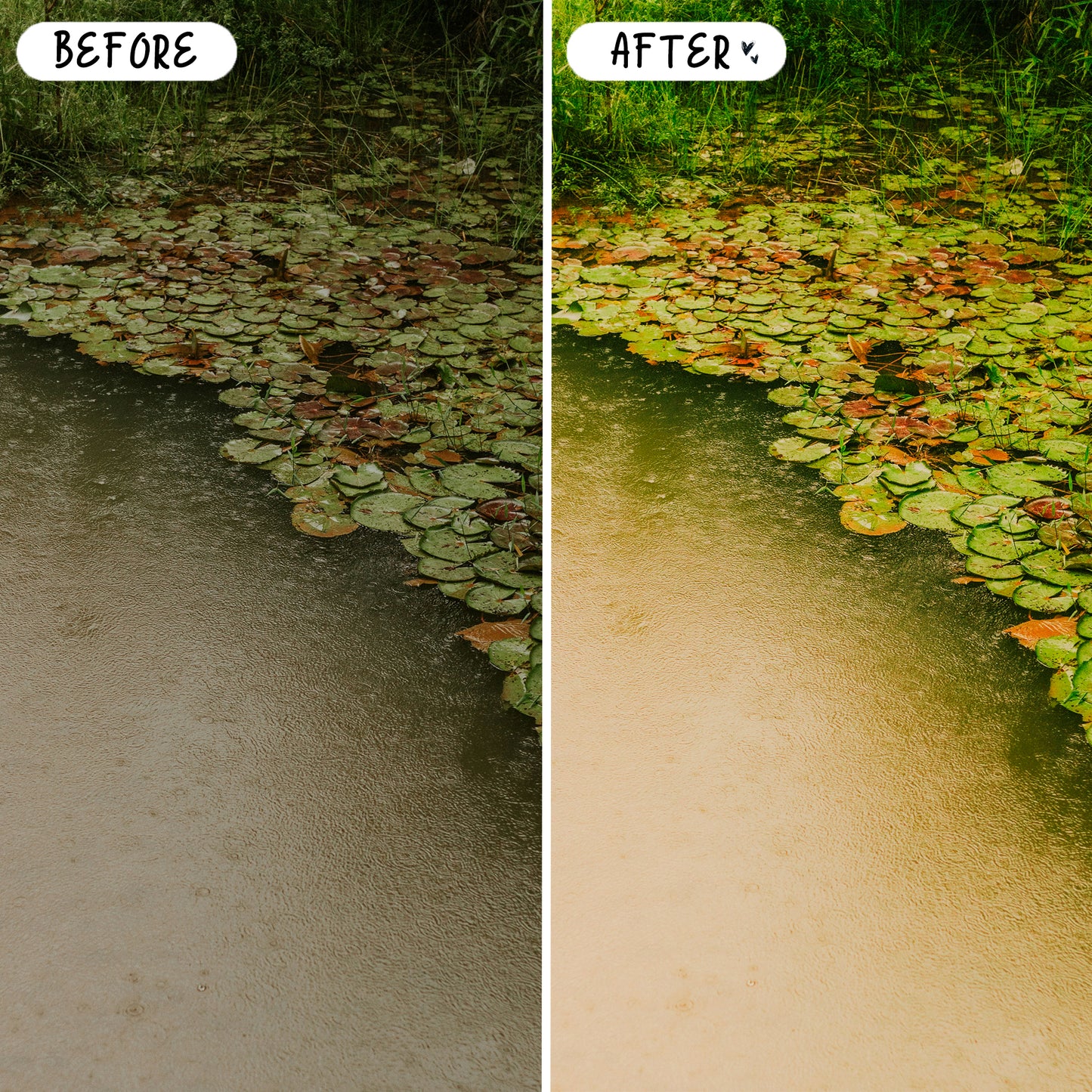 10 Dreamy LIGHTROOM Presets Mobile & Desktop