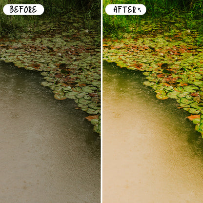 10 Dreamy LIGHTROOM Presets Mobile & Desktop