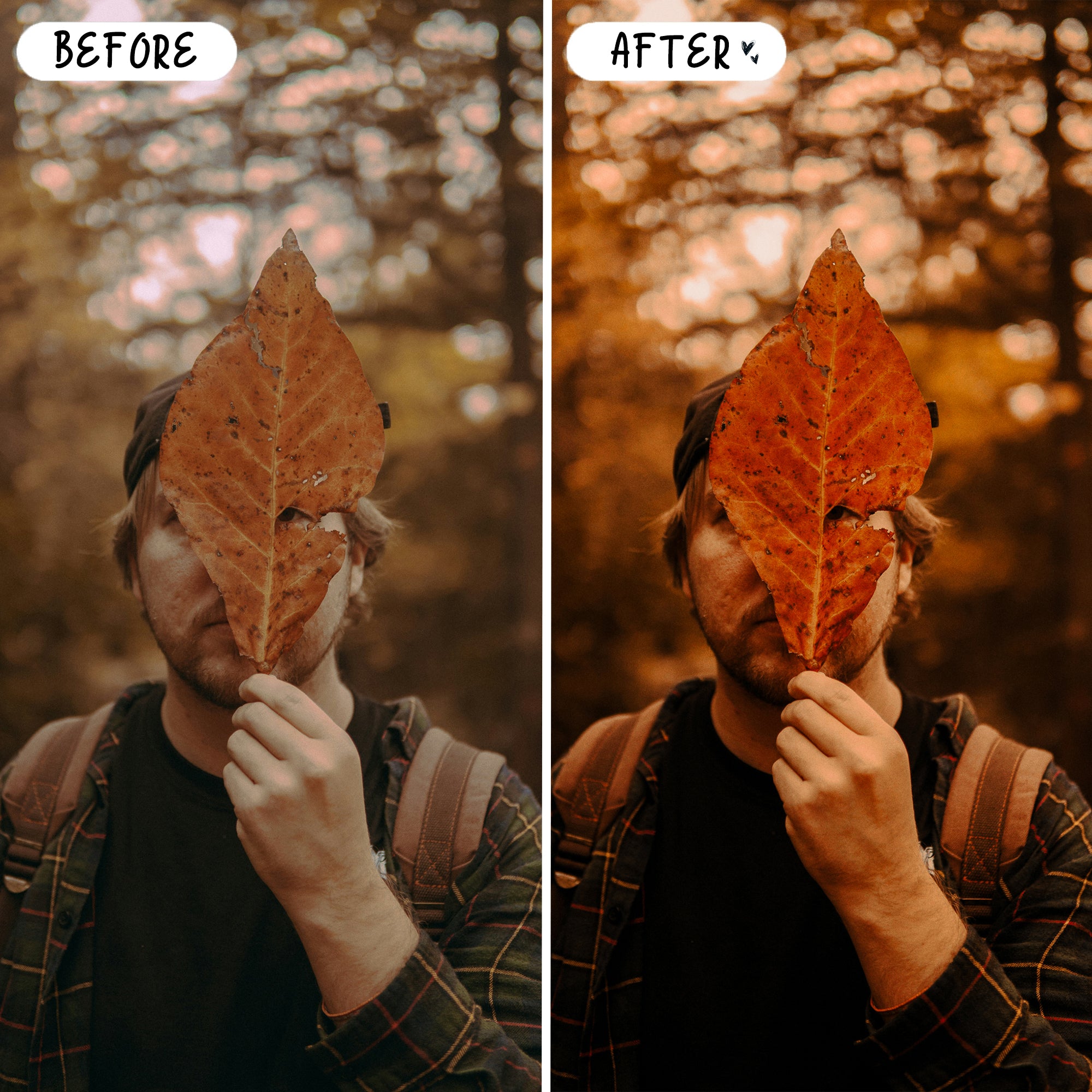 Autumn Preset Bundle