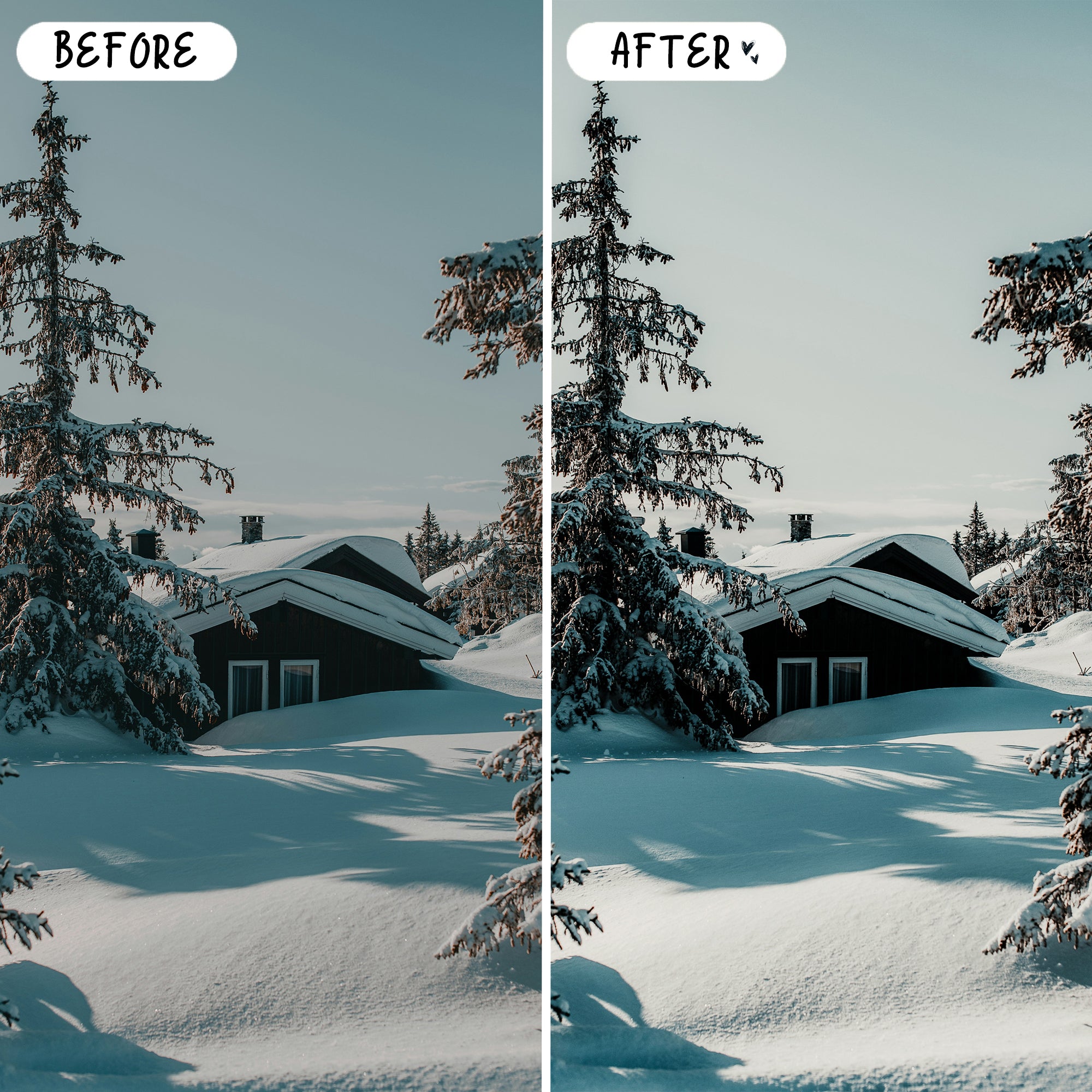 Winter Preset Bundle