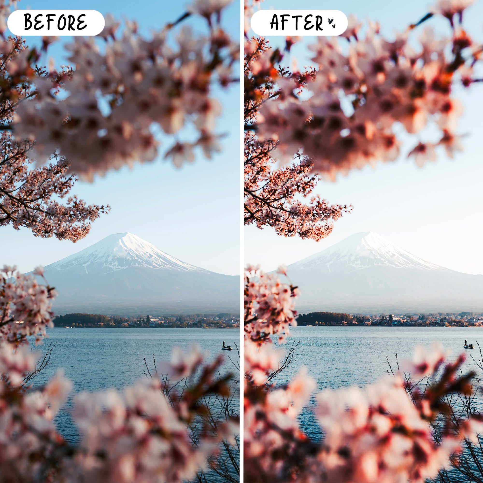 Japan Lightroom Presets