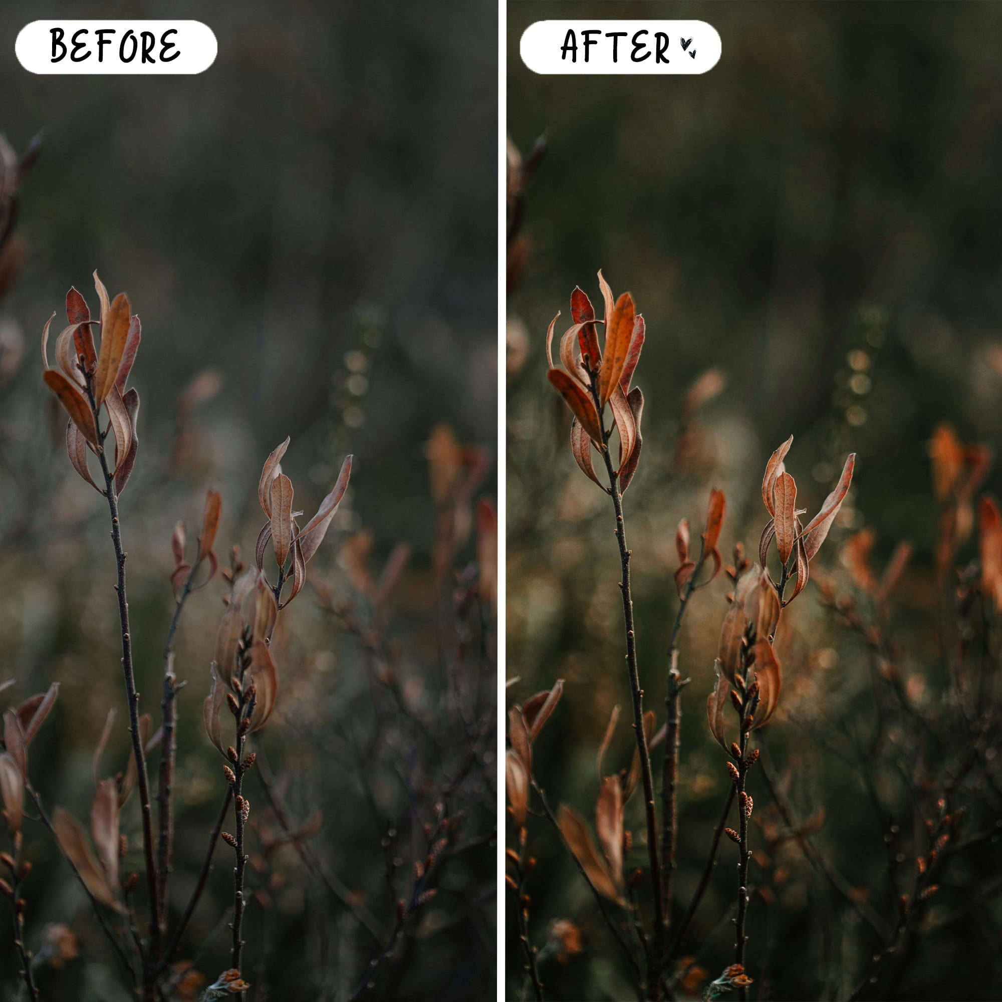Nature Preset Bundle