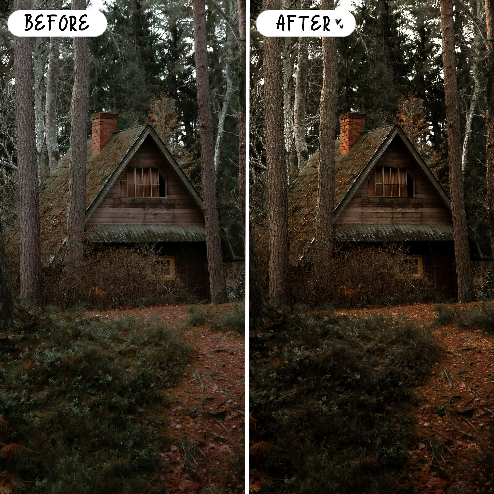 Woodland — Outdoor Preset Bundle