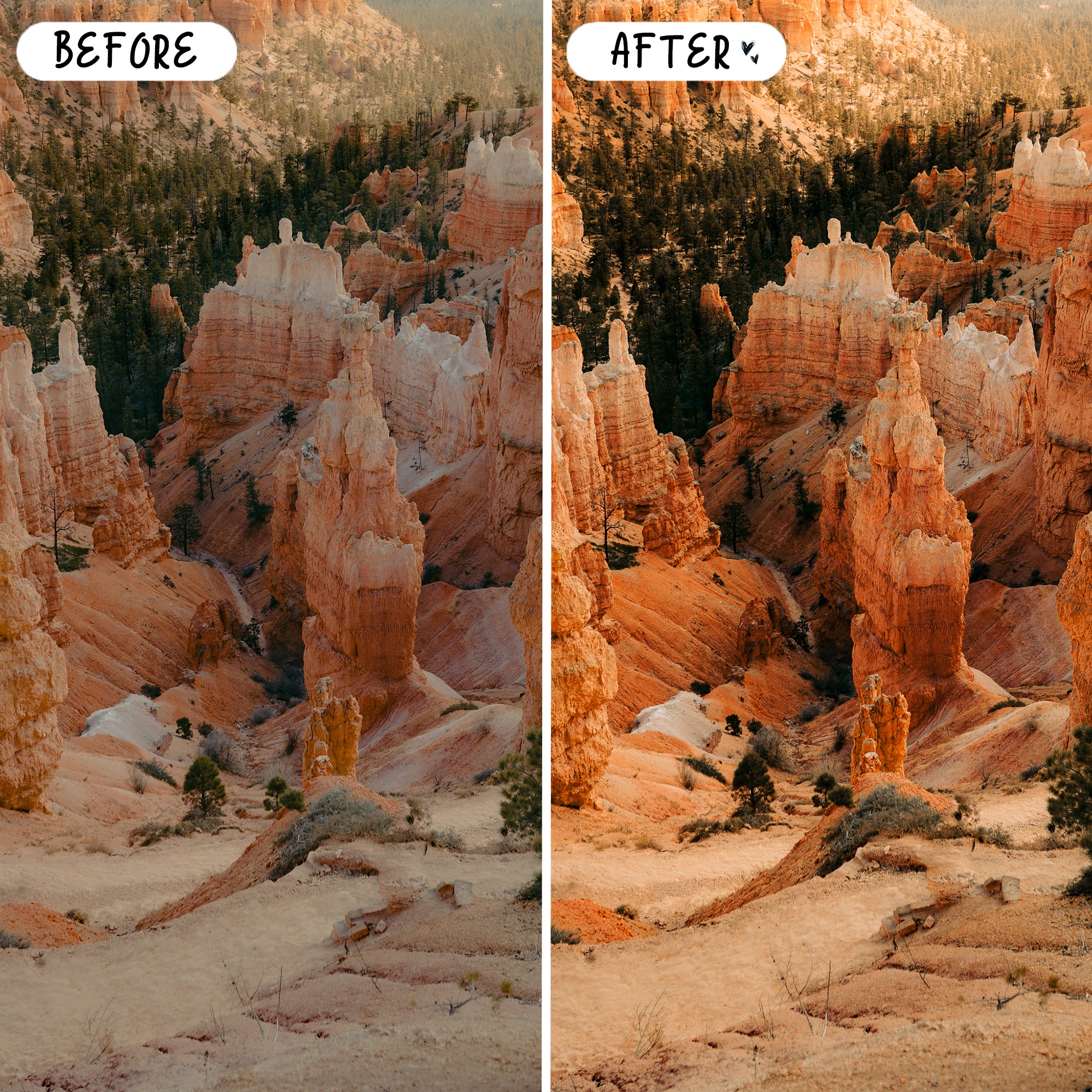 Sedona Preset Bundle