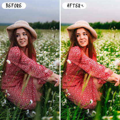 10 Dreamy LIGHTROOM Presets Mobile & Desktop
