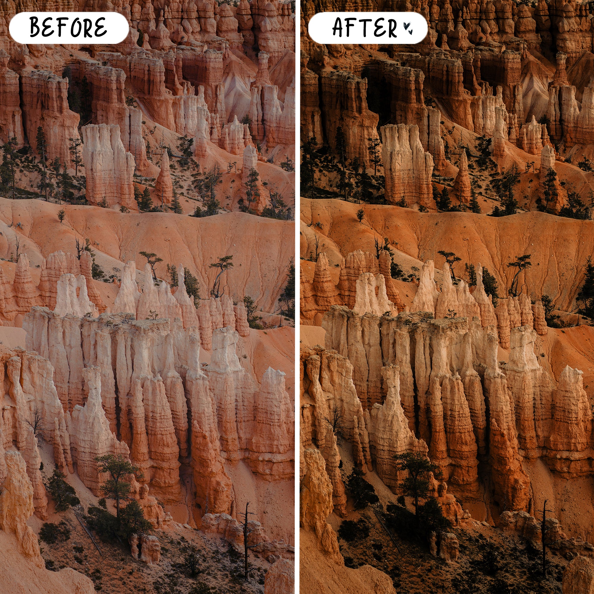 Sedona Preset Bundle