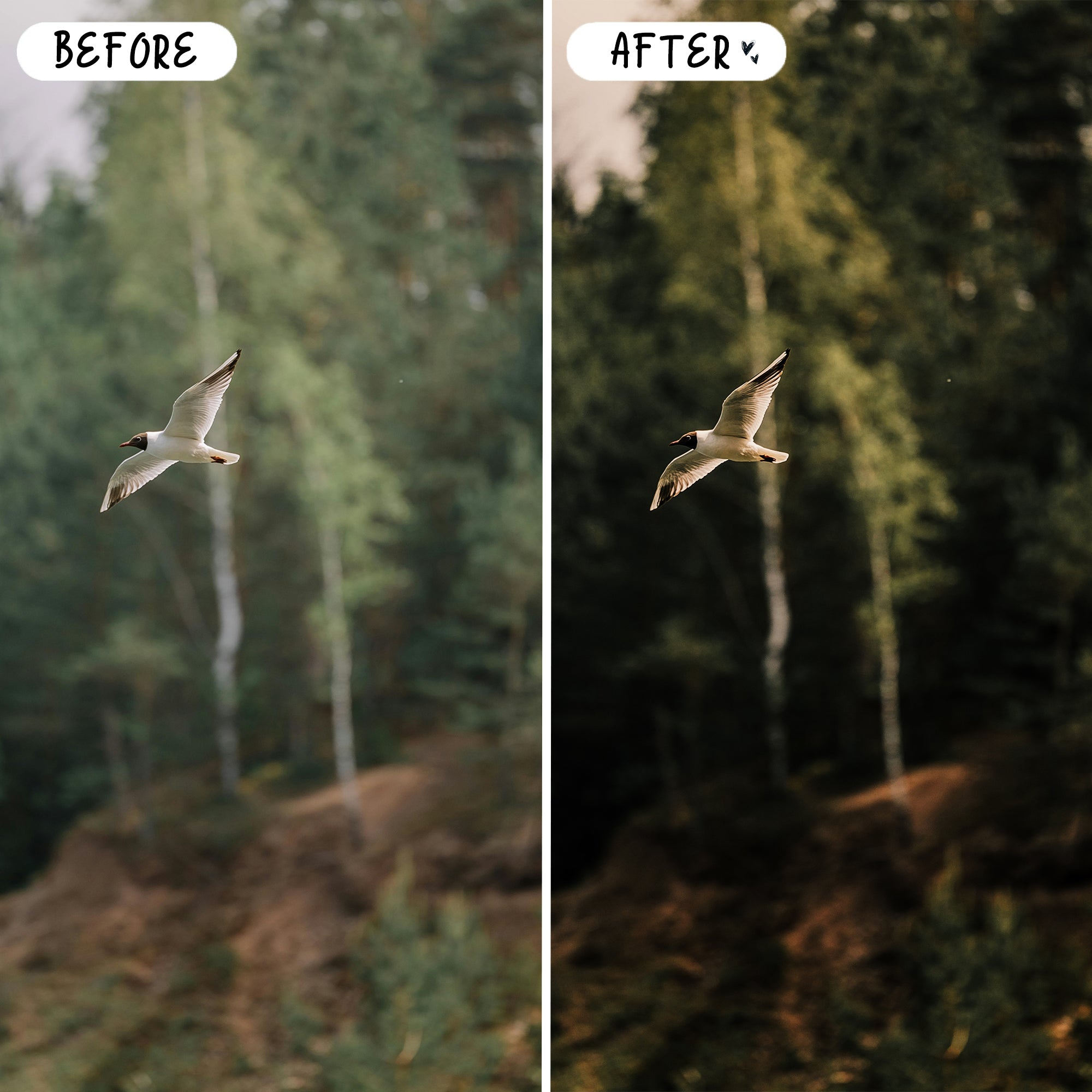 Dark Green Preset Bundle