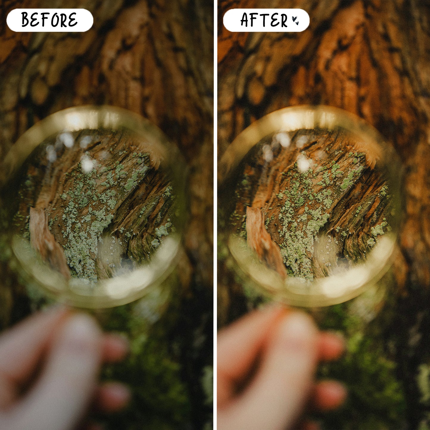 10 Lush LIGHTROOM Presets Mobile & Desktop