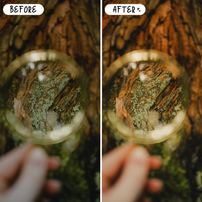 10 Lush LIGHTROOM Presets Mobile & Desktop