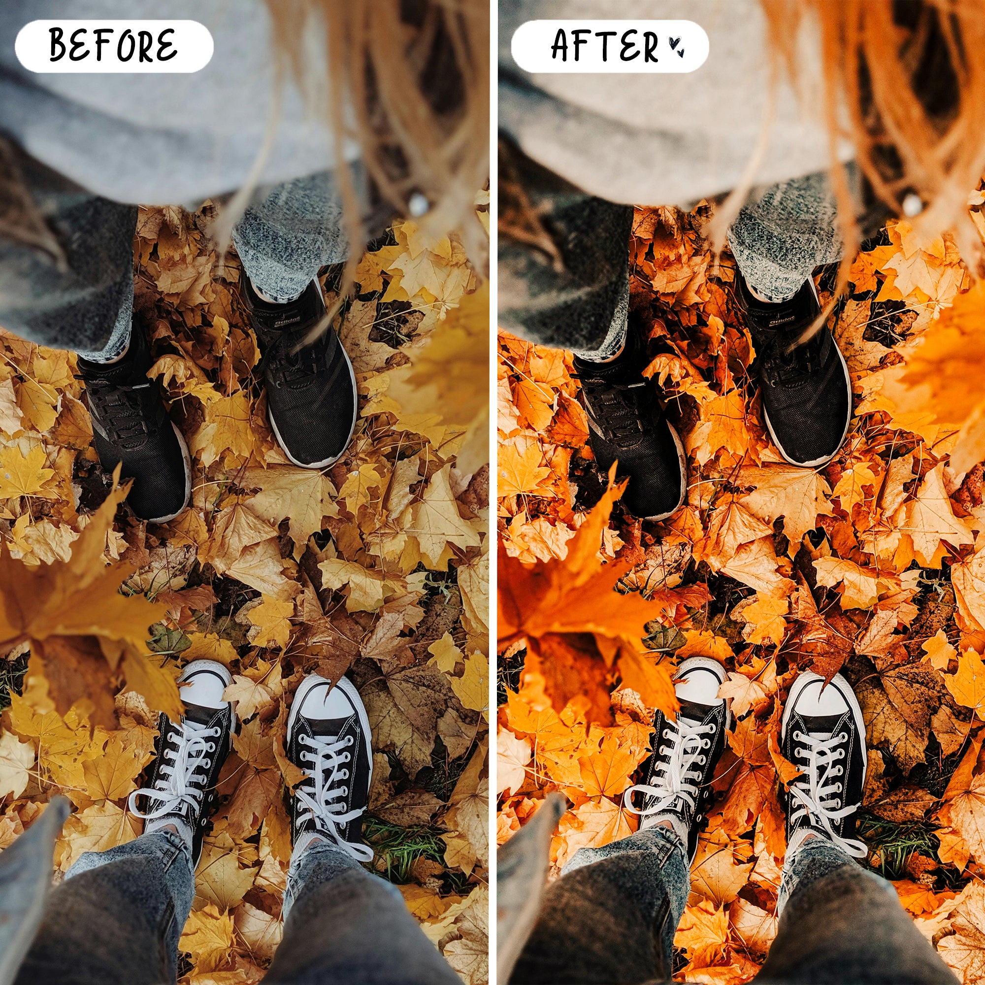 Autumn Preset Bundle