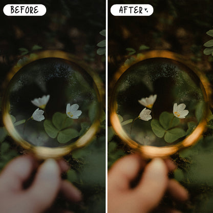 10 Lush LIGHTROOM Presets Mobile & Desktop