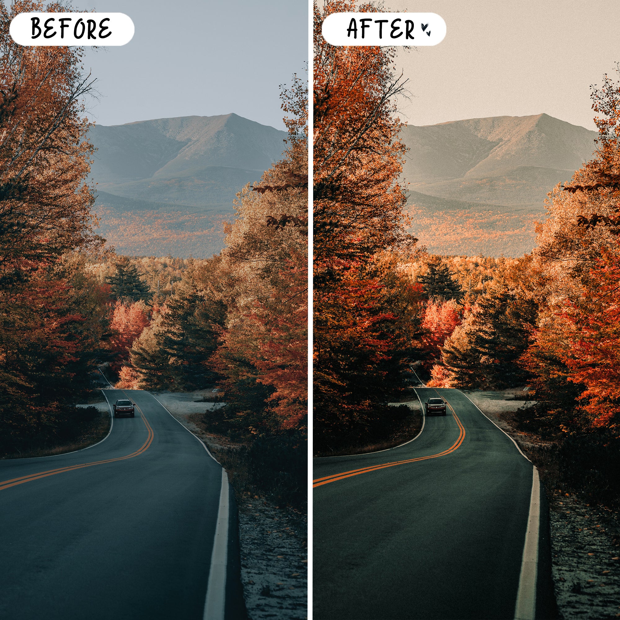 Autumn Preset Bundle