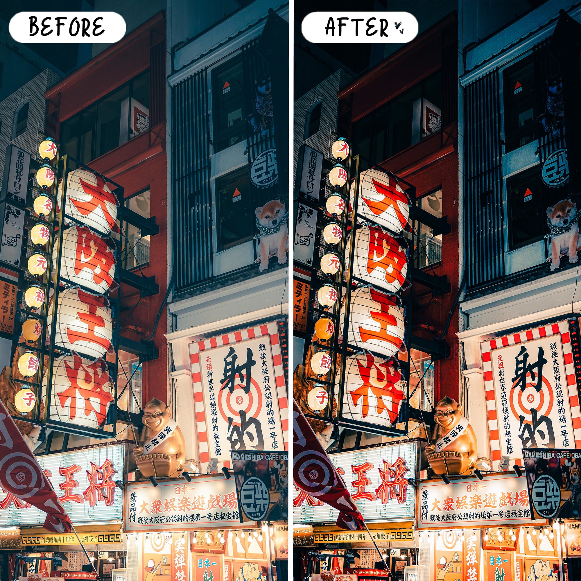 Japan Lightroom Presets