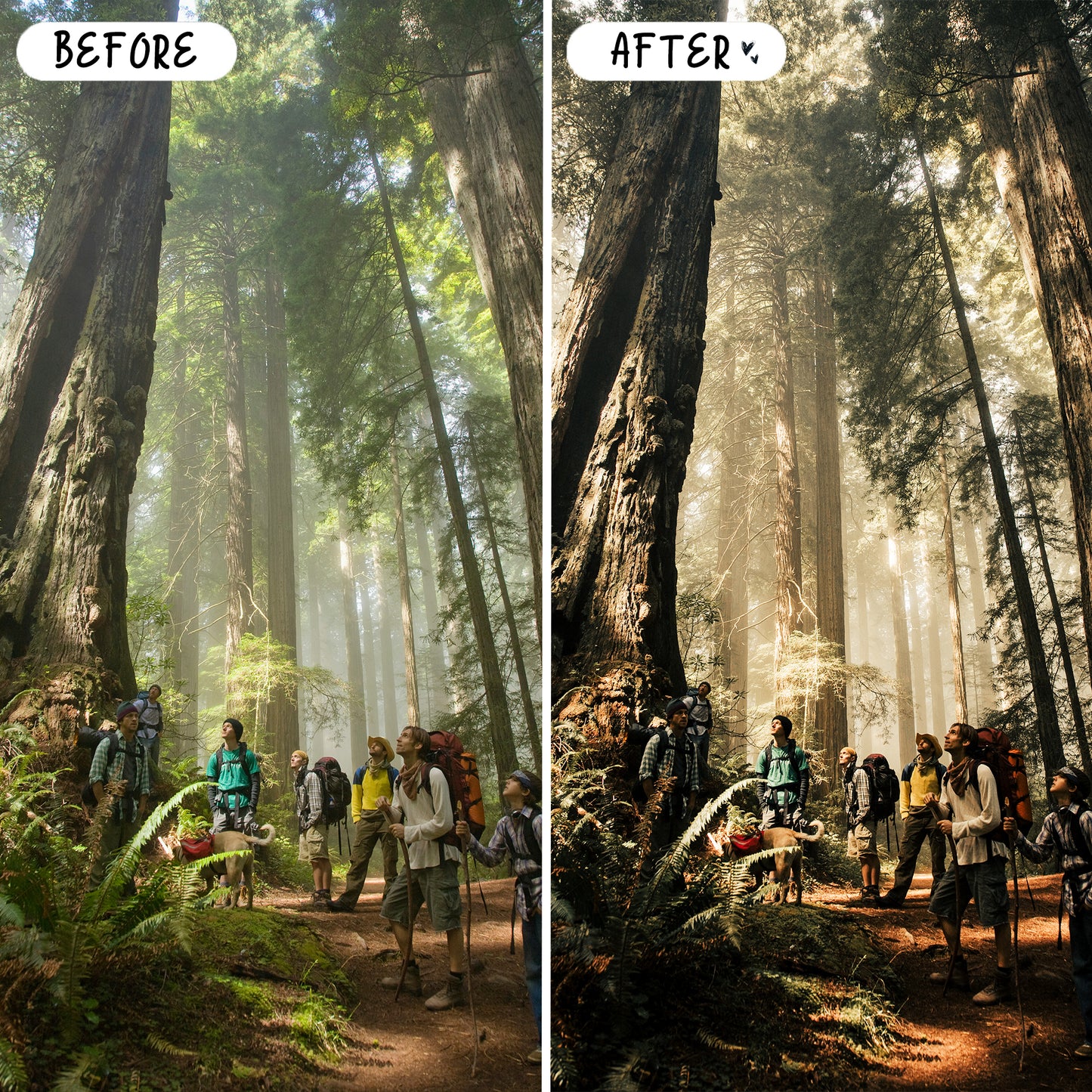10 Hiking LIGHTROOM Presets Mobile & Desktop