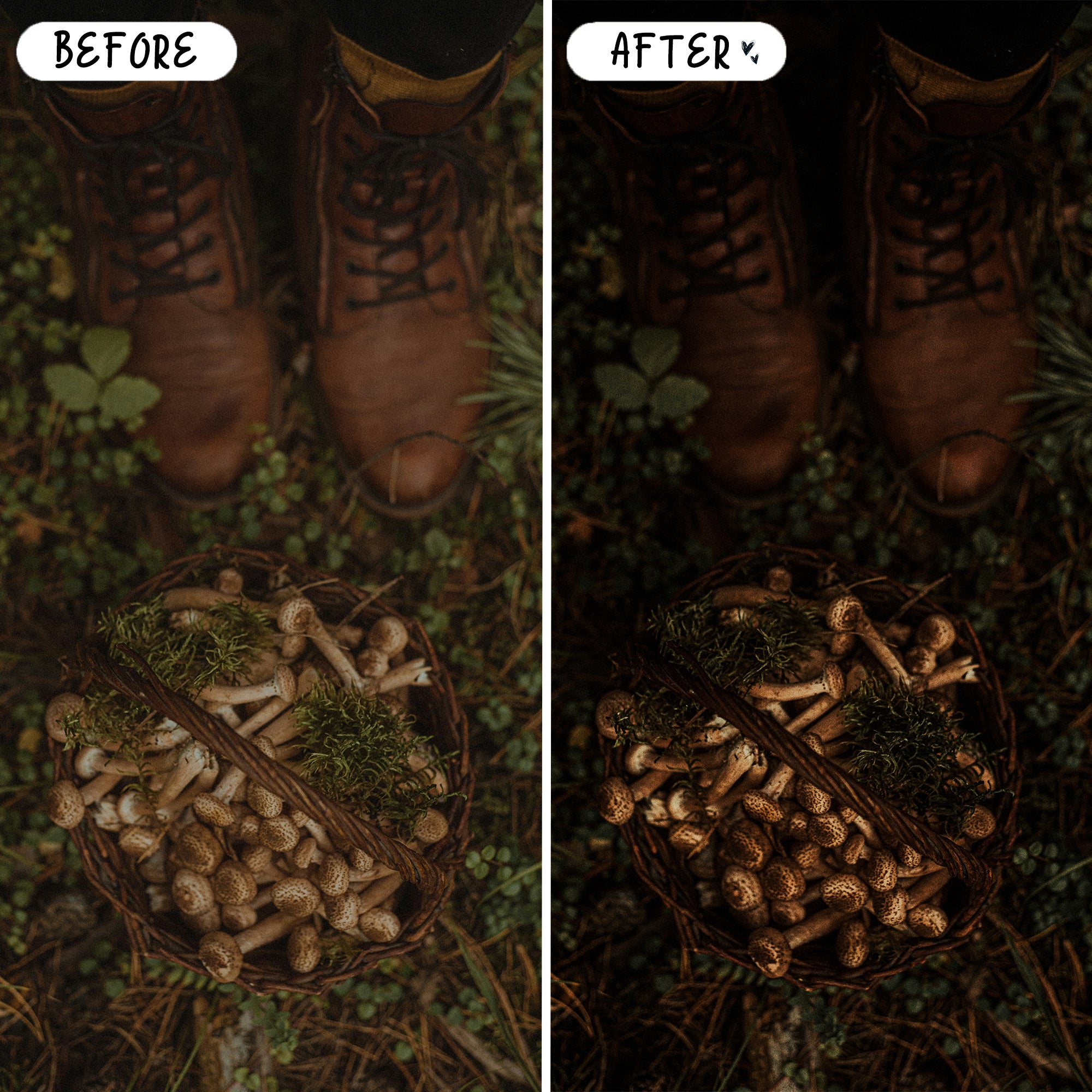 Essential Preset Bundle