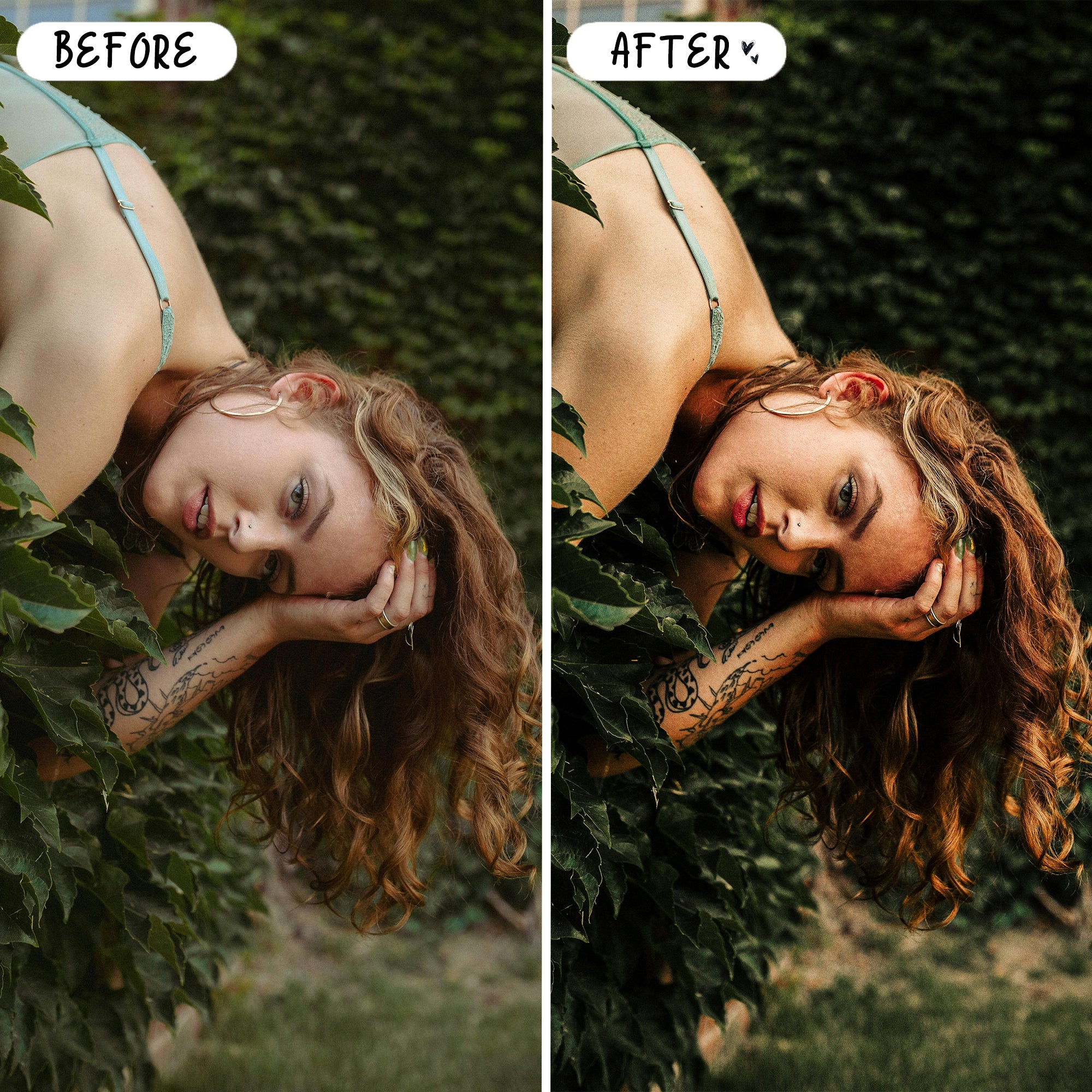 Ultimate Preset Bundle