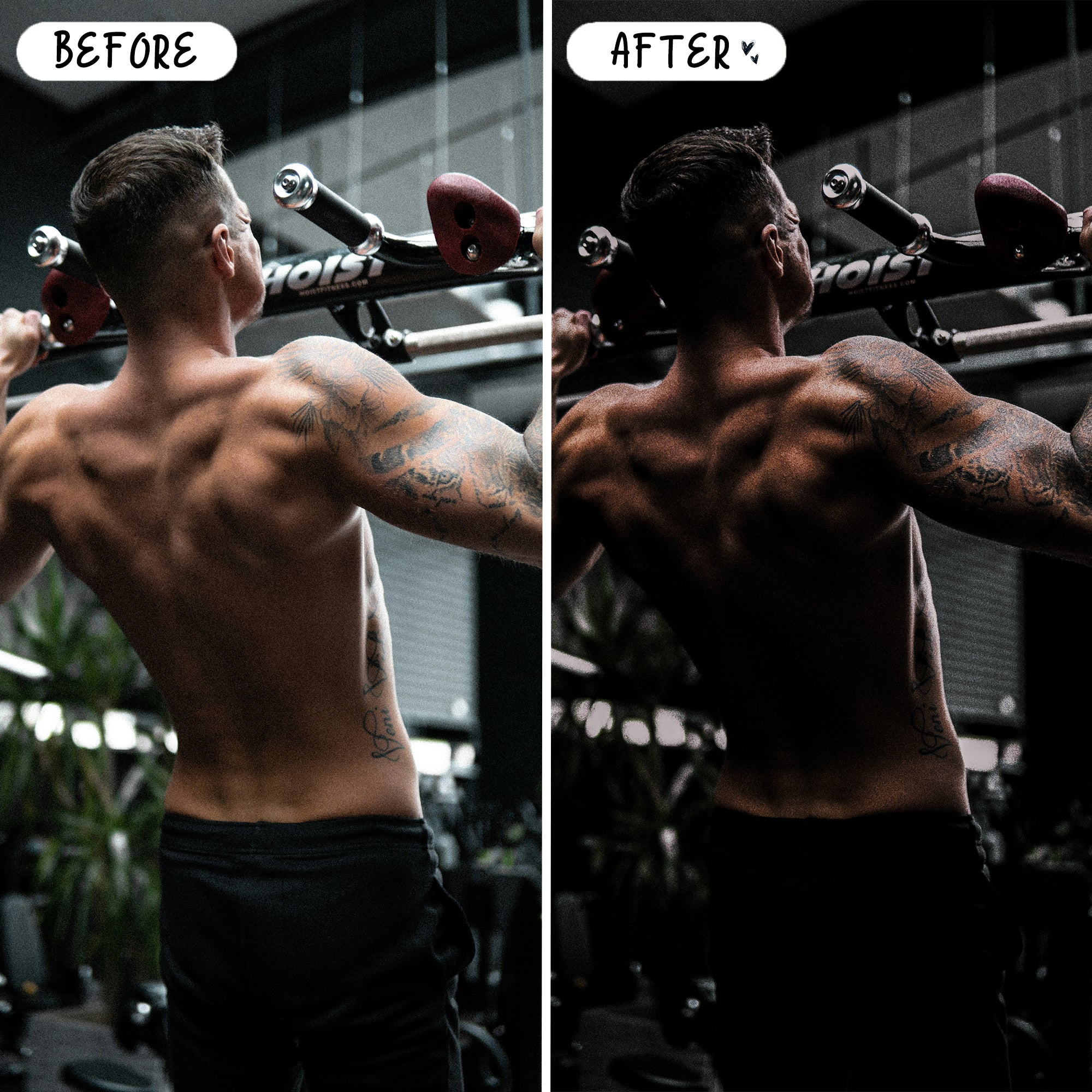 Fitness Preset Bundle