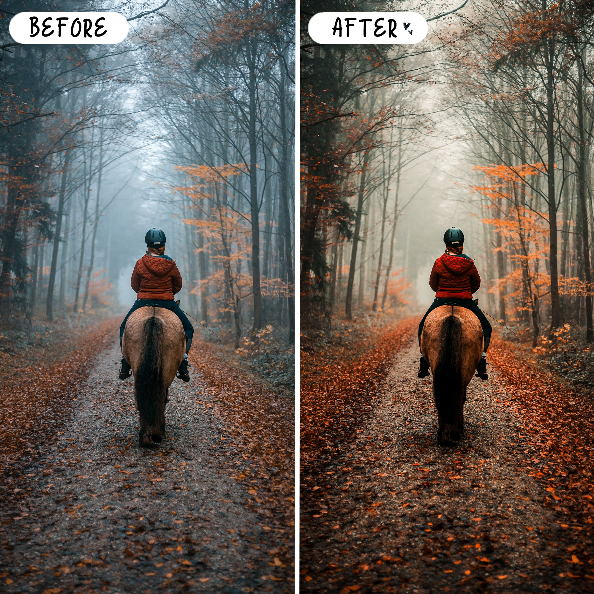 Autumn Preset Bundle