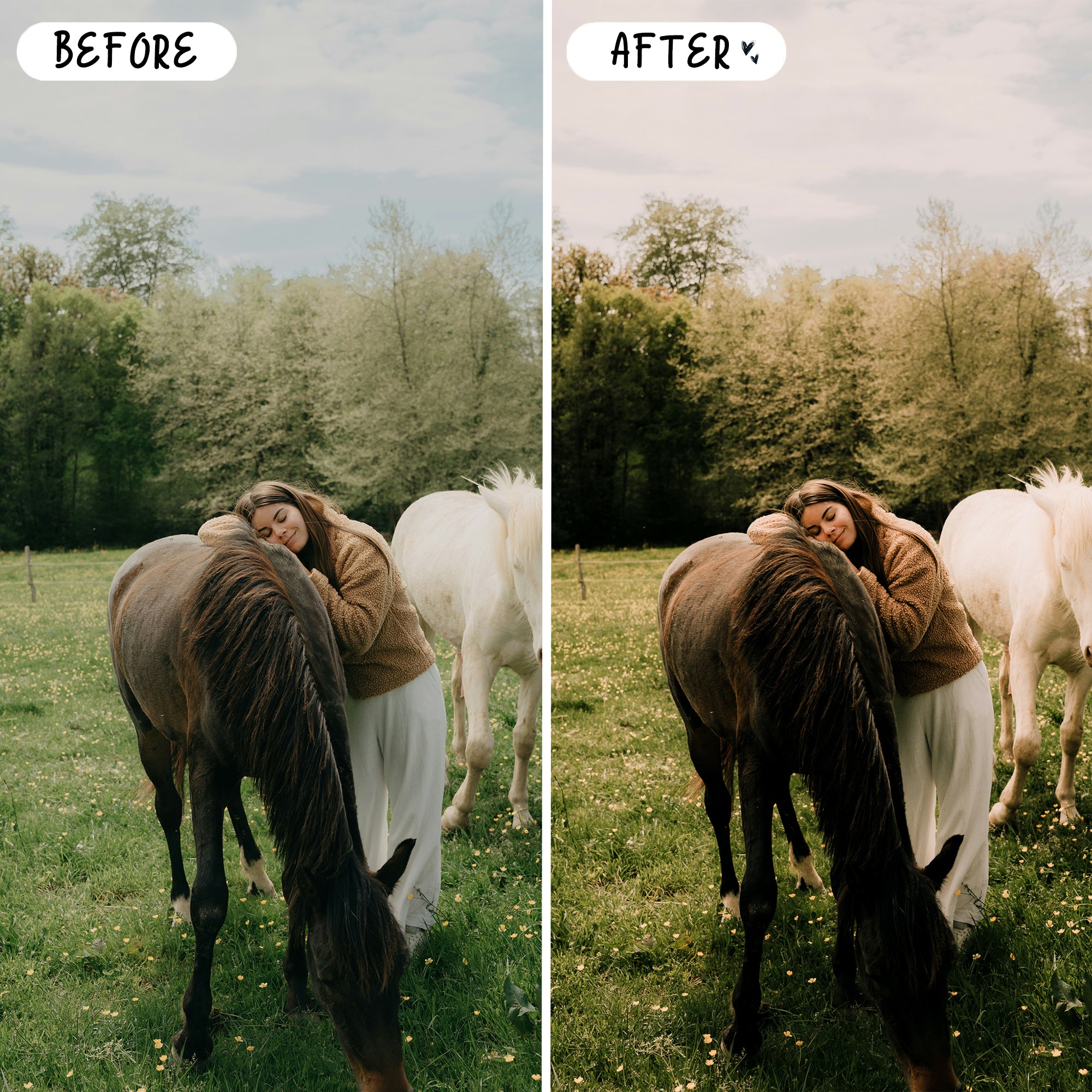 English Country Preset Bundle