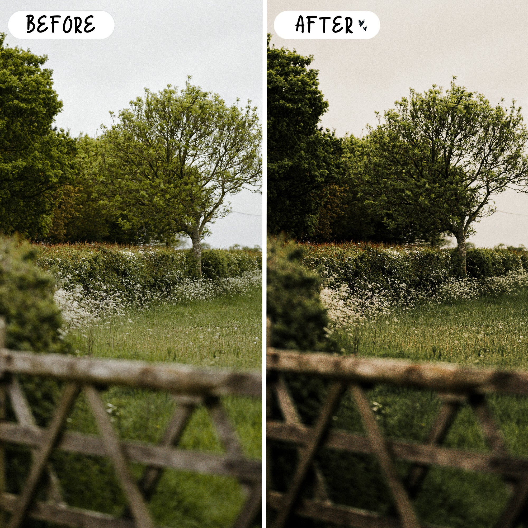 English Country Preset Bundle