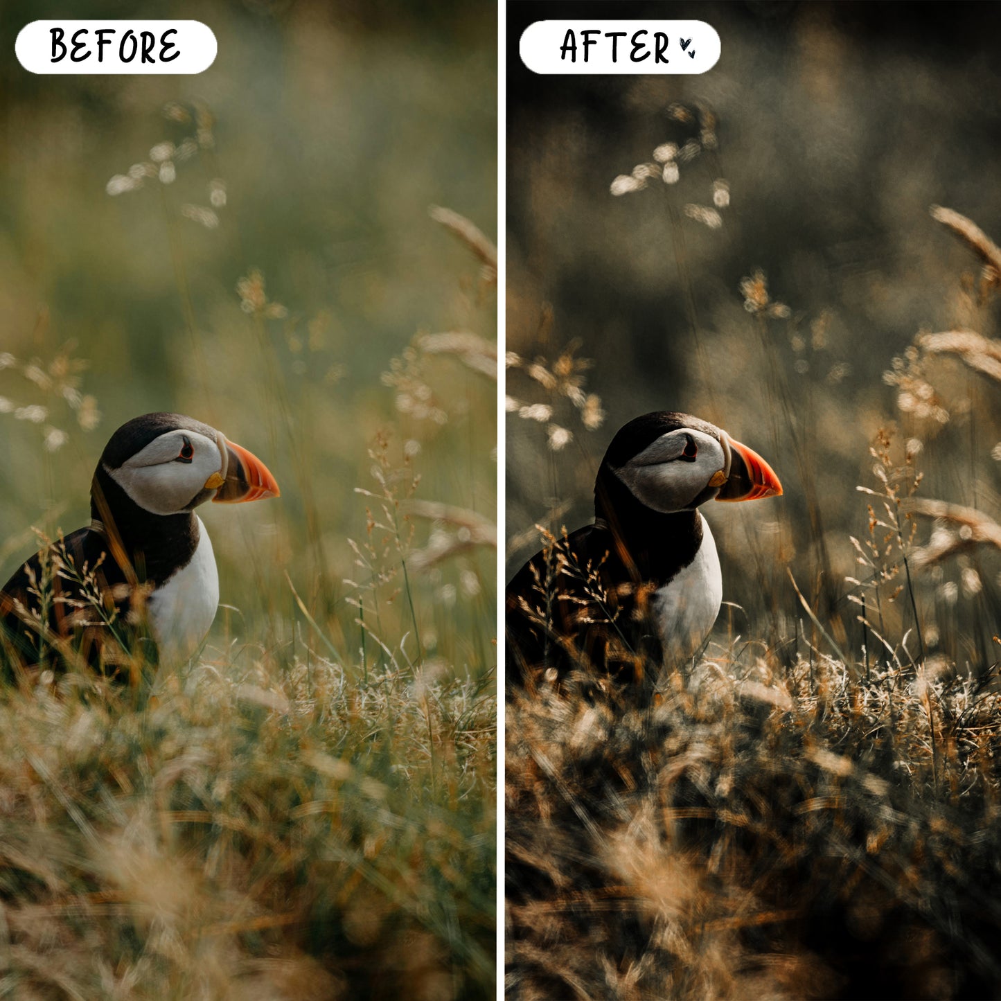 10 Iceland LIGHTROOM Presets Mobile & Desktop