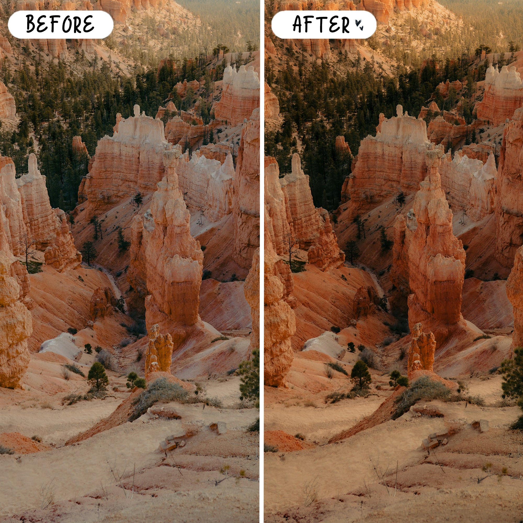 Earthy Preset Bundle