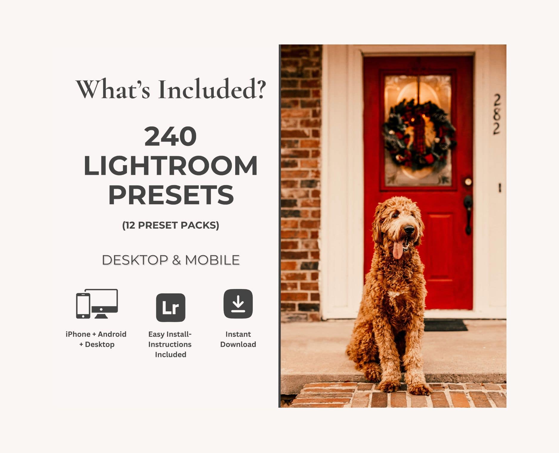 Christmas Collection