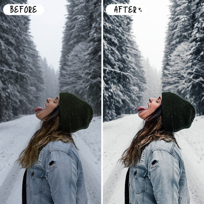 10 Snow LIGHTROOM Presets Mobile & Desktop