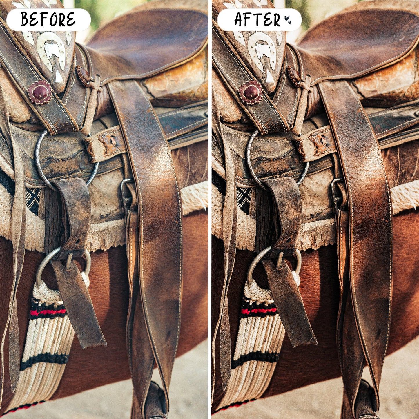 10 Equine LIGHTROOM Presets Mobile & Desktop