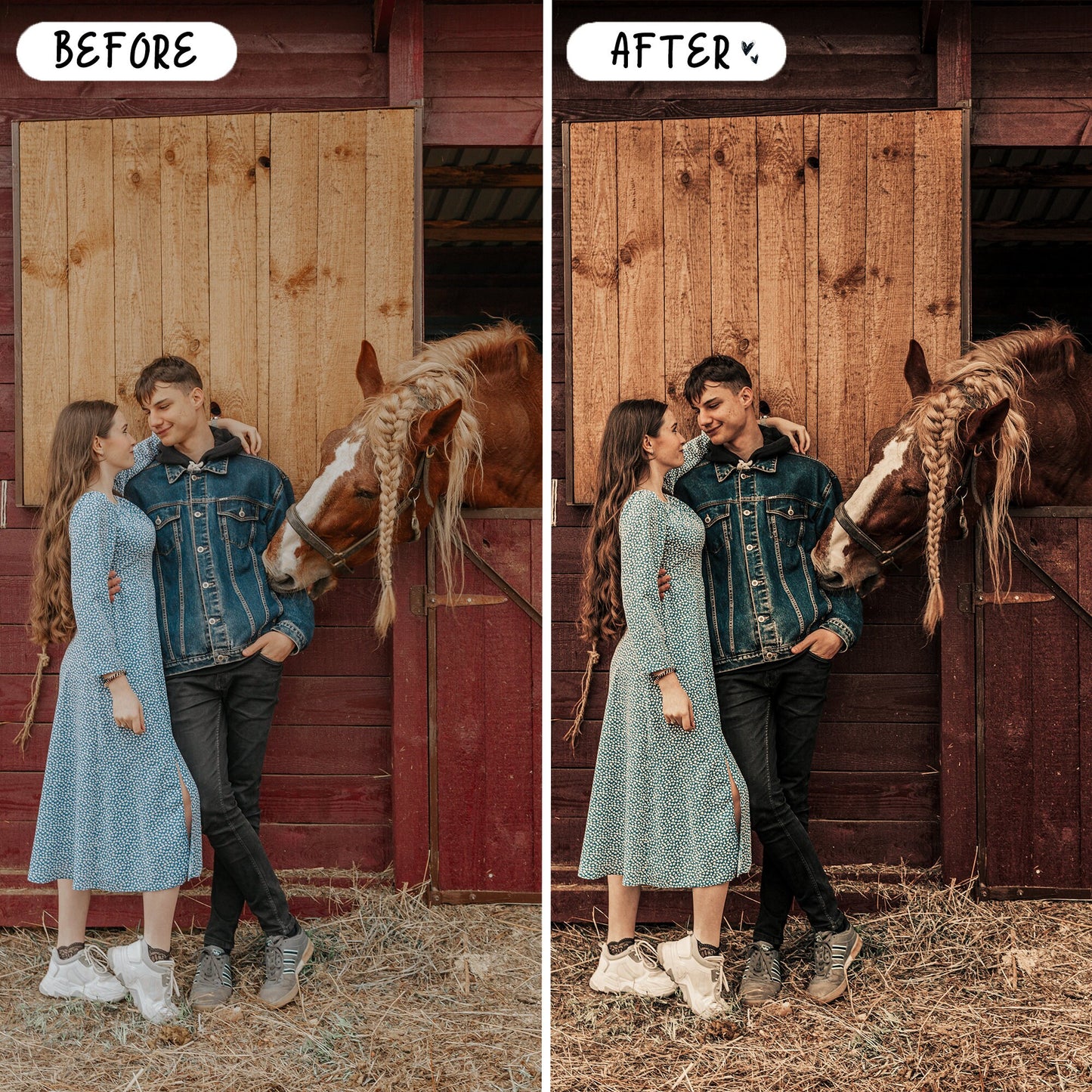 10 Equine LIGHTROOM Presets Mobile & Desktop