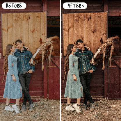 10 Equine LIGHTROOM Presets Mobile & Desktop
