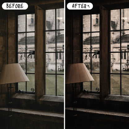 10 Gothic LIGHTROOM Presets Mobile & Desktop