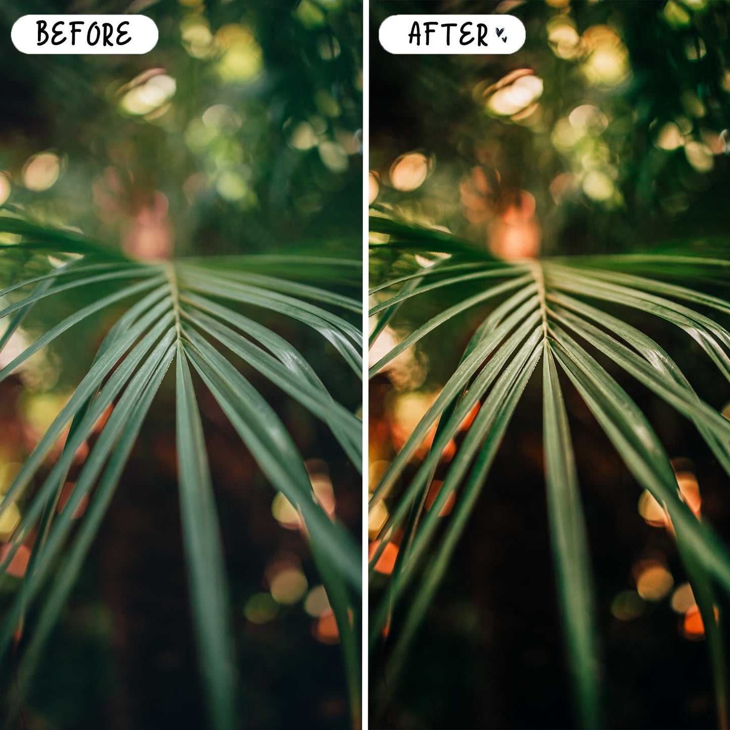 10 Hawaii LIGHTROOM Presets Mobile & Desktop